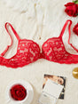 Elegant Lace PushUp Bra with Floral Knit Underwire Provain Shop
