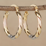Provain Shop Elegant 14K Gold-Plated Hoop Earrings – Twisted Design – Versatile Accessory for Weddings, Parties & Birthdays 