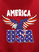 Provain Shop America USA Eagle Pattern Print Hooded Sweatshirt, Personalized Hoodies Fashion Casual Tops For Spring Autumn, Men's Clothing 