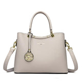 Chic 2025 Spring Urban PU Tote Soft Stylish Daily Essential Provain Shop
