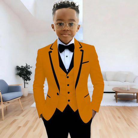 Boys Formal 3Piece Suit Jacket Pants Vest Provain Shop