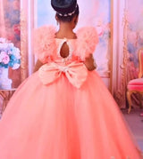 Peach Pink Lace Flower Girl Birthday Party Dress Ball Gown Provain Shop