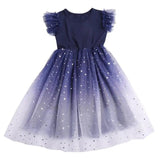Rose Print Satin Princess Dress for Girls Provain Shop
